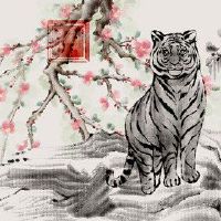 2022年,老虎可以买一个财产,禁忌是什么?