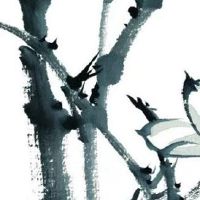 五行穿衣每日指南:2022年8月27日穿什么颜色旺运势