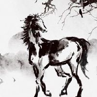 许多马出生富裕,丰富的生活富有资金