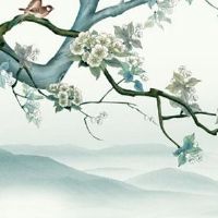 本命年意外怀孕可以打掉吗 安心生产转危为安