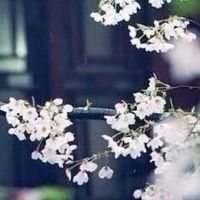 1989年属蛇人2022运势及运程详解 吉凶参半有福泽