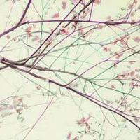 1989年属蛇人2022年每月运势详解 一七月利感情