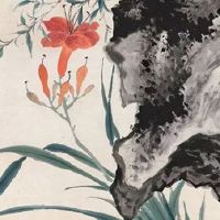 怎么查自己的太阳和上升星座 月亮星座查询原则