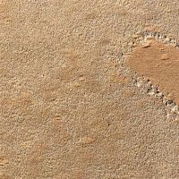 12个星座女孩不必结婚