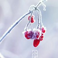 小燕的生命缺乏，男孩被命名，英俊，男孩的名字