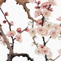 两口子都是十个簸箕 子孙运势非常好