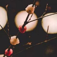 五行穿衣每日分享:2022年8月30日穿什么颜色提运