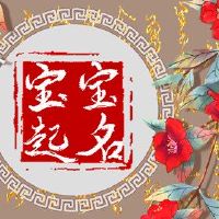 歌曲书书记书的经典好名字