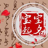 遵循原则的名称的名称是什么？