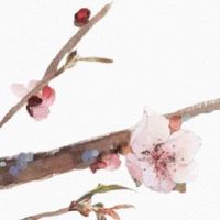 武曲贪狼在夫妻宫还有救吗 一次婚姻多不能白头偕老