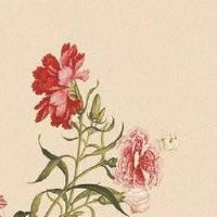 手机尾号00000风水 助运吉祥手机号