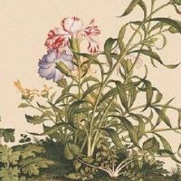 手机号风水对照表最全 五行大运选手机靓号