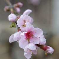 2022年7月7日开工吉利吗 农历六月初八黄历日子分析