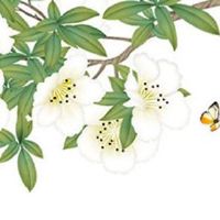 免费根据八字选车牌 盘点车牌号码的风水吉凶