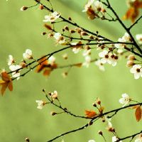 2022年7月30日适合提车吗 农历七月初二是不是买车吉日