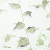 The summer solstice from 2022 is the most strong in the summer solstice and summer solstice