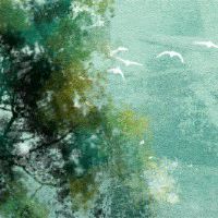 天上火命什么日子有财运 晚年钱财稳定命中有财