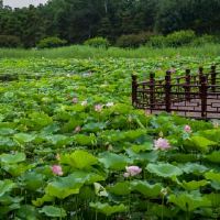 它在2022年旅行吗？今天的黄历