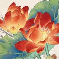 2022年7月5日出生的女宝宝命好不好 福分浓厚 发家致富