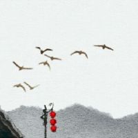 石榴木头在哪里去东北部?