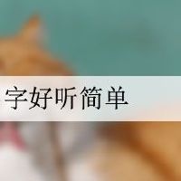 小猫名字好听简单