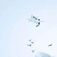 2022年7月3日出生的男孩命运好吗 孝顺父母 福禄荣昌