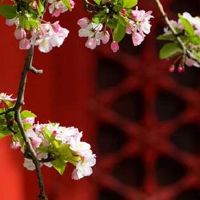 女人正印偏印都有好吗 学问与才会俱佳