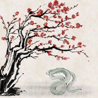 属蛇的女人一生事业 土木行业可发展慎重合作