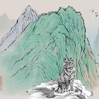 有形的老虎宝宝仍然是一个兔子虎兔宝宝出色的劣势