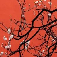 98年属虎24岁有桃花运吗 小心辨别桃花运