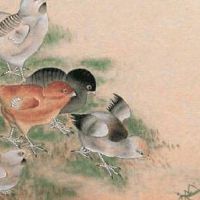 手机尾号后四位吉利 顺口有价值数理号码