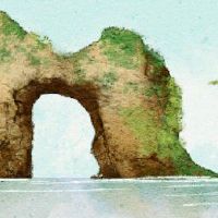 许可证编号和字母的意思是车牌号的数量