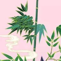 2022年7月13日出生属虎女宝宝是什么命理 运势上佳 生活富足