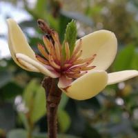 邑邑师姐运运运运(4.25-5.1)