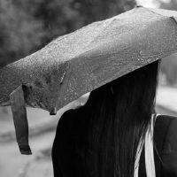 最多的芋头田女一周财富(4.25-5.1)