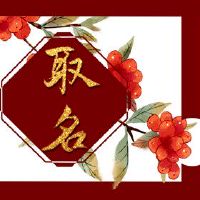 爸爸是一只龙妈妈是老鼠是一只兔子。