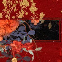 第一批财富于2012年5月16日分析