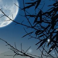 人格建设公司名称大全建筑公司名称方法