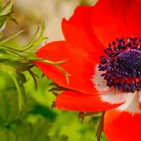 唐齐阳/唐立奇一周星座（4.25-5.1）