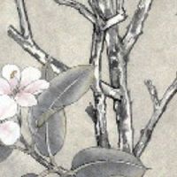 耳朵特别小的人一定短寿吗 行事谨慎且细心敏感