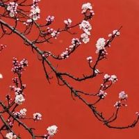 怎么查八字里带不带印 八子印星在生辰八字中