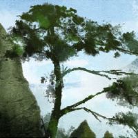 婚姻和婚姻的陈述是什么?