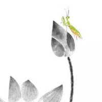 2022年7月21日出生属虎男孩命理查询 旺运带财 大富大贵