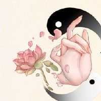 嘉靖日的富人和富裕的根本原因是相当大的