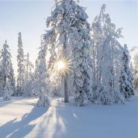 你在下雪的日子里做什么？