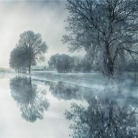 梦想雪是什么意思？