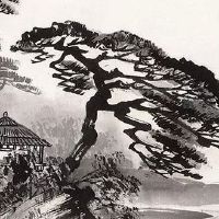 2022年属兔的重大贵人 事业财运锦上添花