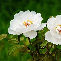 是2022年9月的第一天吗？生活呢？