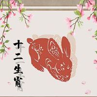 我不知道丁丁十二生肖之夜和十二生肖兔子