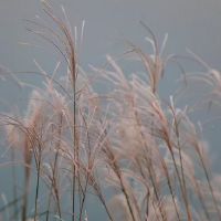 纳音山下火是什么意思